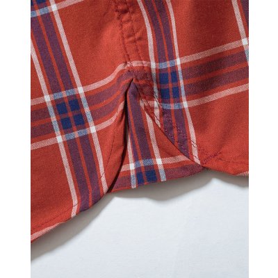 Lee独特のガゼット