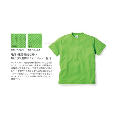 画像4: ハニカムTシャツ [HNC-102] seventeen verglebee-セブンティーンヴェーグルビー