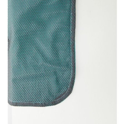 画像10: バーサタイル ナイロンショーツ [NSV-505] TRUSS-トラス