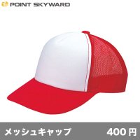 アメリカンキャップ コンビタイプ [AMC] POINT SKYWARD-ポイント スカイワード