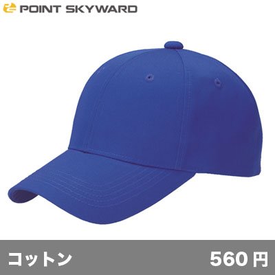 画像1: デフレキャップ [DF] POINT SKYWARD-ポイント スカイワード