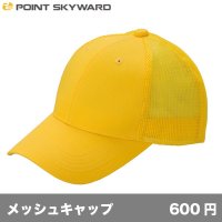 デフレメッシュキャップ [DFM] POINT SKYWARD-ポイント スカイワード