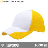 ファンクションキャップ ver.1 [FC] POINT SKYWARD-ポイント スカイワード