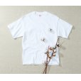 画像3: 8.2oz オーガニックコットンTシャツ [5117] United Athle-ユナイテッドアスレ