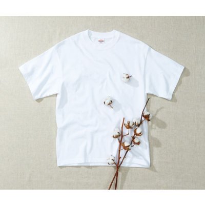画像3: 8.2oz オーガニックコットンTシャツ [5117] United Athle-ユナイテッドアスレ