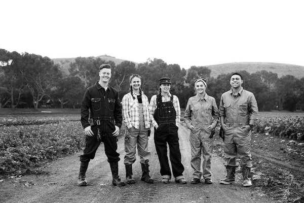 画像8: レディース 長袖ウエスタンシャツ [LCS43006] Lee-リー (8)