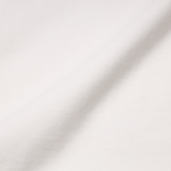 画像6: 8.8oz プレミアムブラッシュドTシャツ [DF1110] D-FACTORY-ディーファクトリー (6)