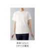 画像5: 6.2ozオープンエンド バインダーネック ポケットTシャツ [OE1119] CROSS＆STITCH-クロスアンドスティッチ (5)