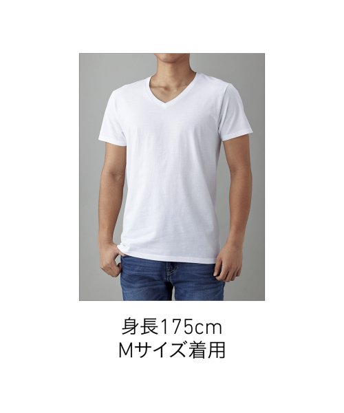 画像3: 4.3oz スリムフィットVネックTシャツ [SFV-113] TRUSS-トラス (3)