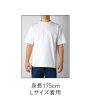 画像10: USAコットンTシャツ [UCS-950] CROSS&STITCH-クロスアンドスティッチ (10)