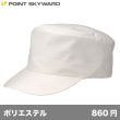 画像1: ワーキングキャップ 丸天型 [MT] POINT SKYWARD-ポイント スカイワード (1)