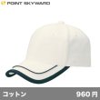 画像1: ダブルフレームキャップ [WF] POINT SKYWARD-ポイント スカイワード (1)