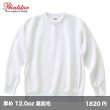 画像1: 12.0oz 裏起毛ヘビートレーナー [00227] printstar-プリントスター (1)