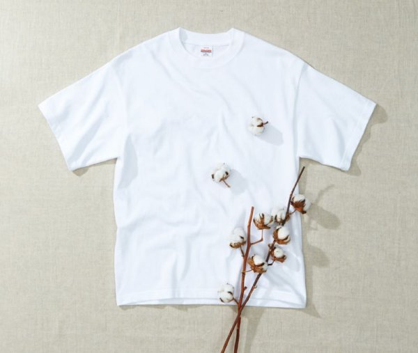画像3: 8.2oz オーガニックコットンTシャツ [5117] United Athle-ユナイテッドアスレ (3)